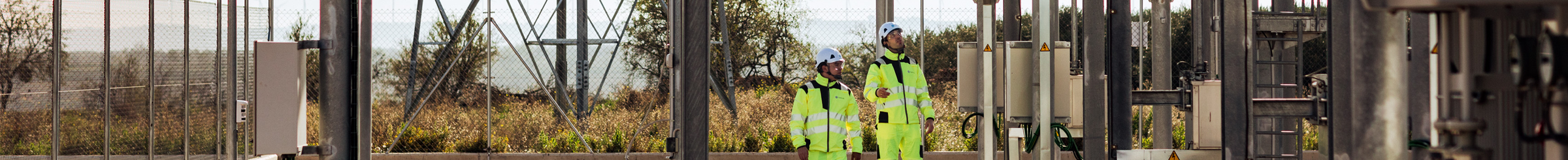 grattacieli in città con alberi verdi